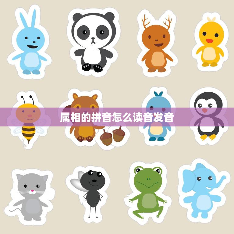 属相的拼音怎么读音发音(如何正确念出十二生肖)