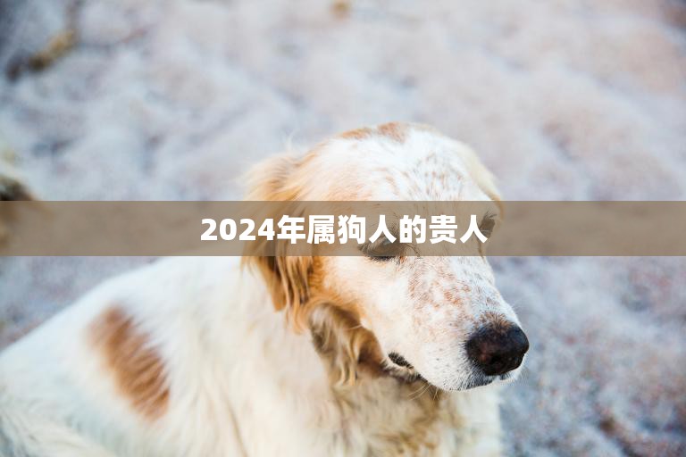 2024年属狗人的贵人(如何吸引幸运之星)