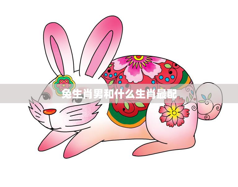 兔生肖男和什么生肖最配(完美配对的秘诀揭秘)