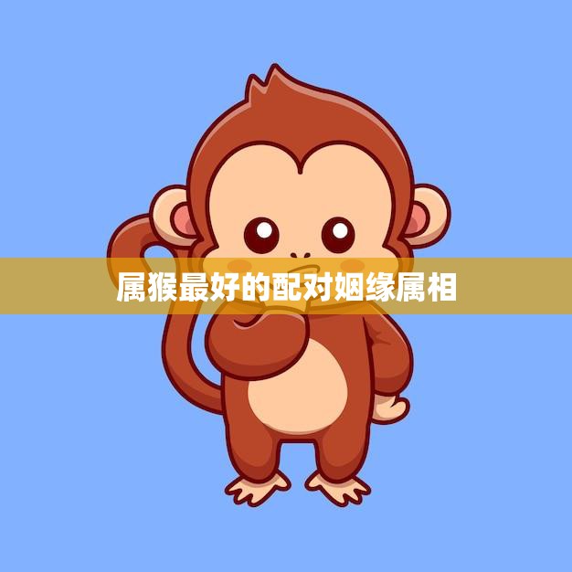 属猴最好的配对姻缘属相(完美搭档幸福长久)