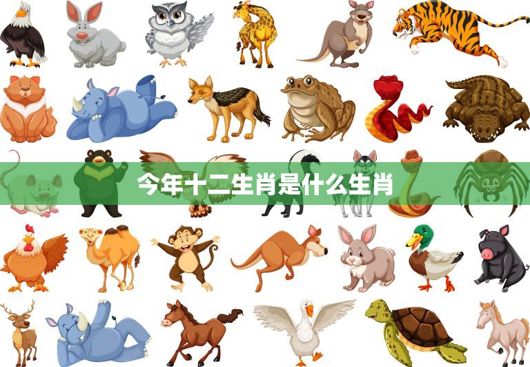 今年十二生肖是什么生肖(2023年十二生肖大揭秘)