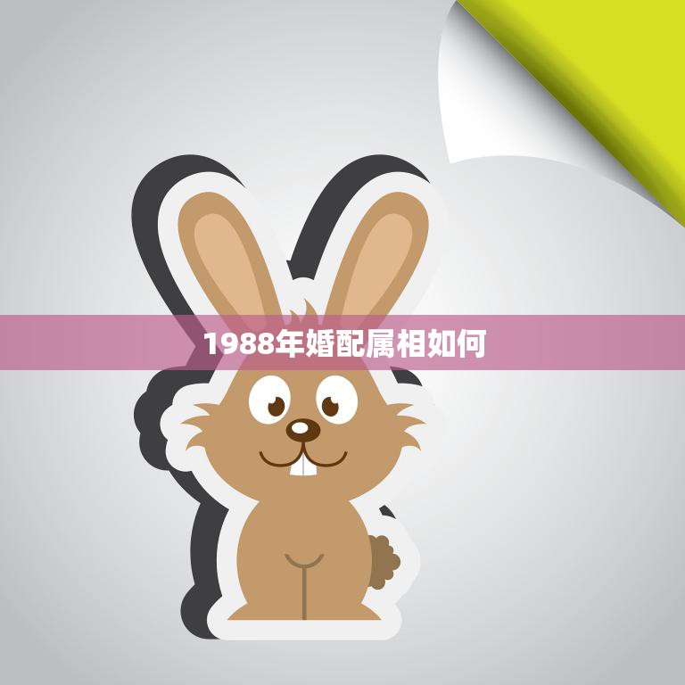 1988年婚配属相如何(解读兔年男女配对攻略)