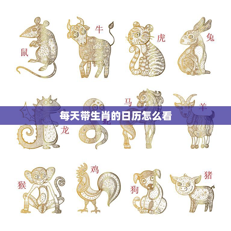 每天带生肖的日历怎么看(掌握生肖运势开启好运之门)