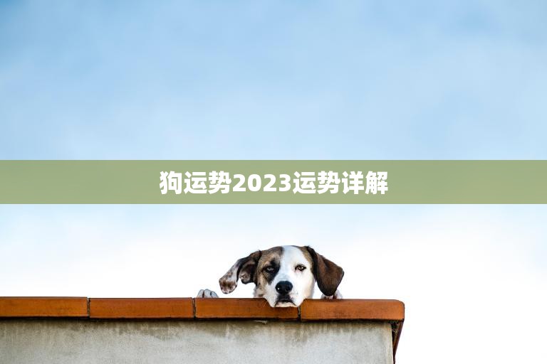狗运势2023运势详解(狗年运势大揭秘)