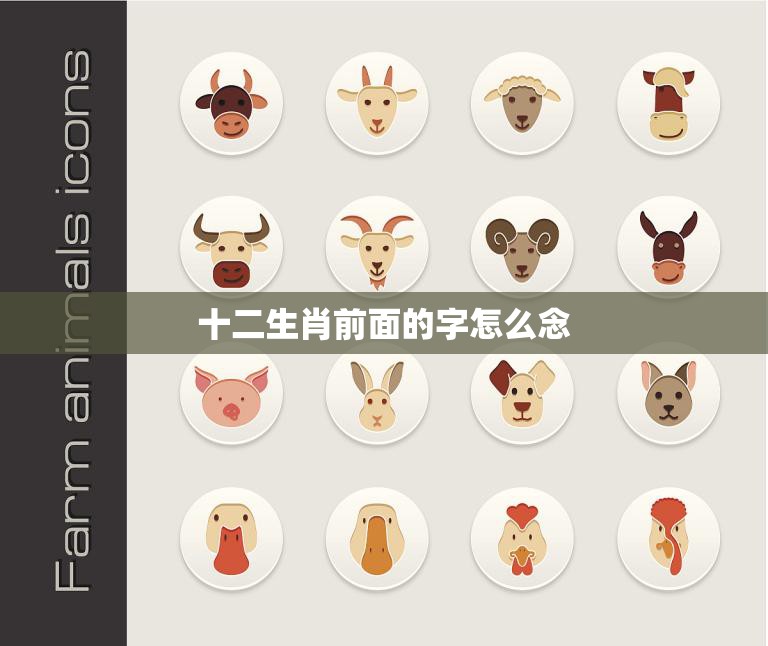 十二生肖前面的字怎么念(如何正确念出十二生肖的前缀)