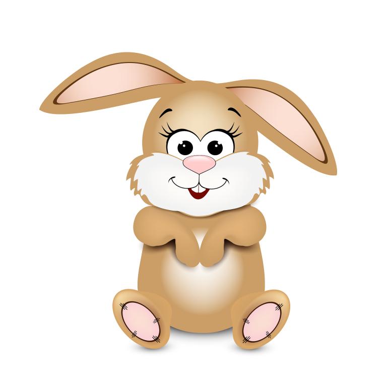 2023属兔是什么命格(探究幸运与挑战)