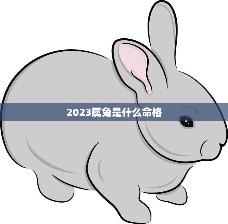 2023属兔是什么命格(探究幸运与挑战)