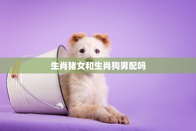 生肖猪女和生肖狗男配吗(星座配对大揭秘)