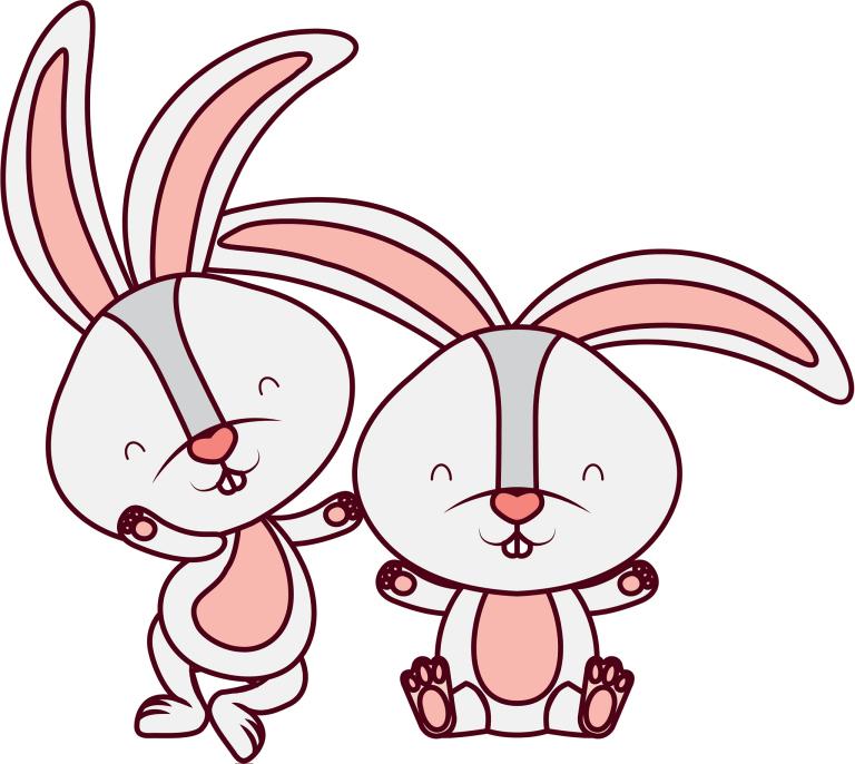 兔男的婚姻最佳配偶属相(如何选择最合适的伴侣)