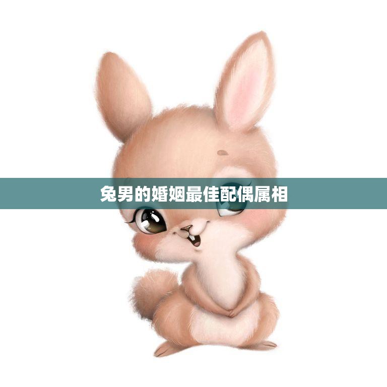 兔男的婚姻最佳配偶属相(如何选择最合适的伴侣)