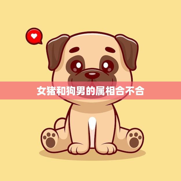 女猪和狗男的属相合不合(如何看待这对属相的组合)