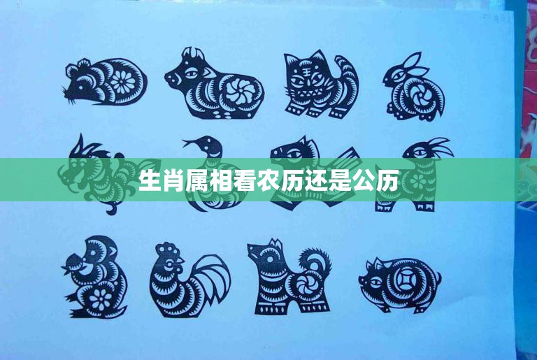 生肖属相看农历还是公历(如何确定你的属相)