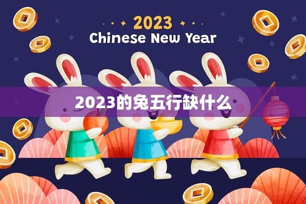 2023的兔五行缺什么(探寻兔年五行不足之处)
