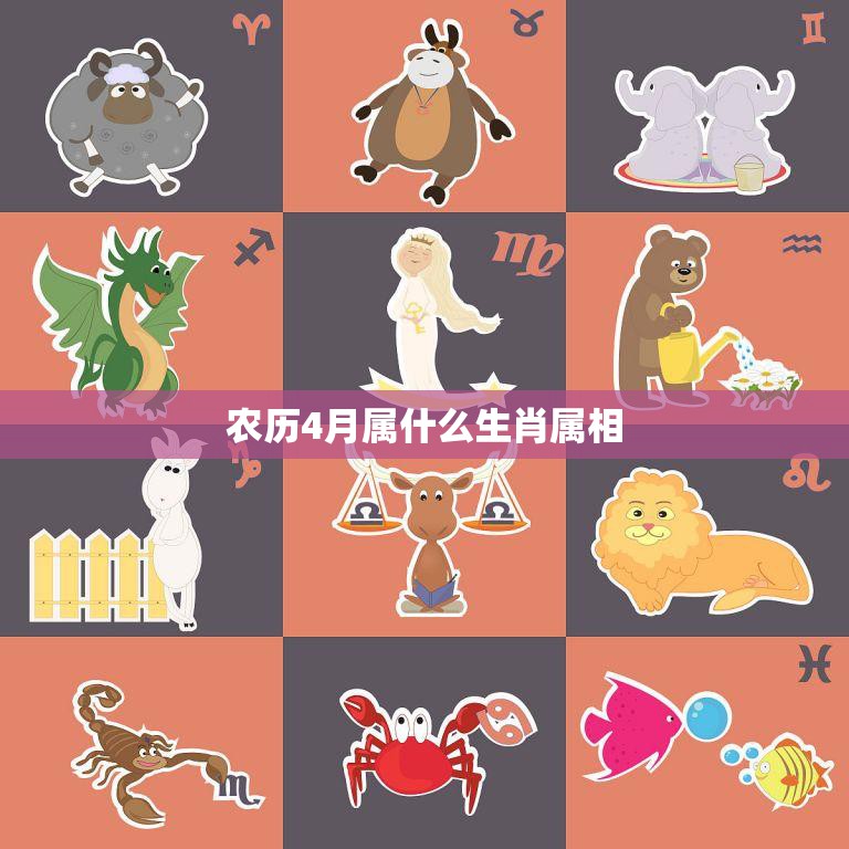 运势全方位分析