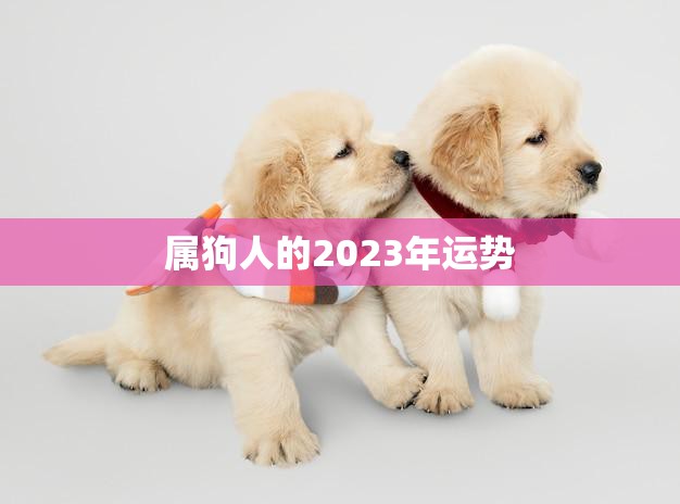 属狗人的2023年运势(狗年大展宏图财运亨通)