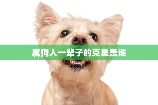 属狗人一辈子的克星是谁(揭秘狗年出生者的宿敌)