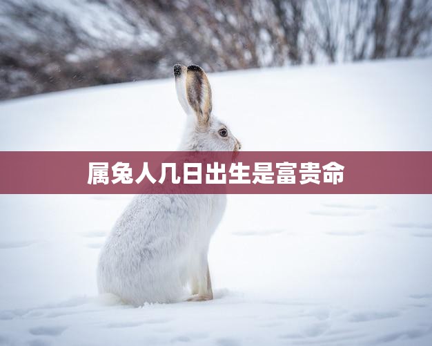 属兔人几日出生是富贵命(揭秘兔年黄道吉日)