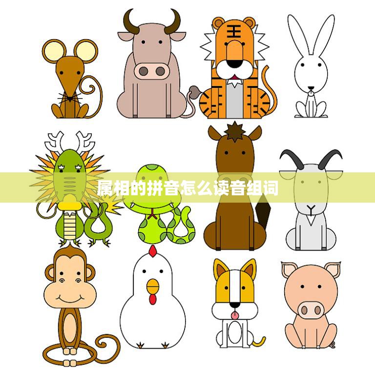 属相的拼音怎么读音组词(如何学习)