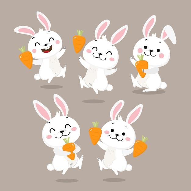 属兔男孩寅时出生好不好(如何影响命运)