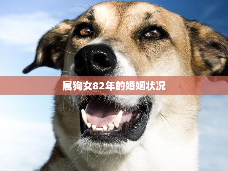 属狗女82年的婚姻状况(幸福还是波折不断)