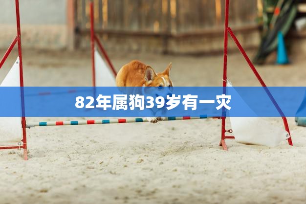 82年属狗39岁有一灾(如何化解)