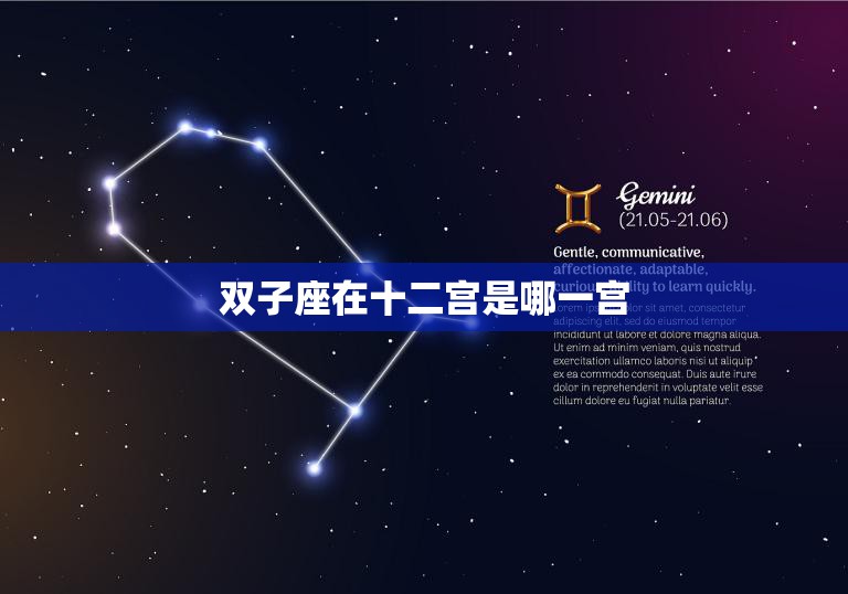 双子座在十二宫是哪一宫(星座学揭秘双子座在十二宫的位置)