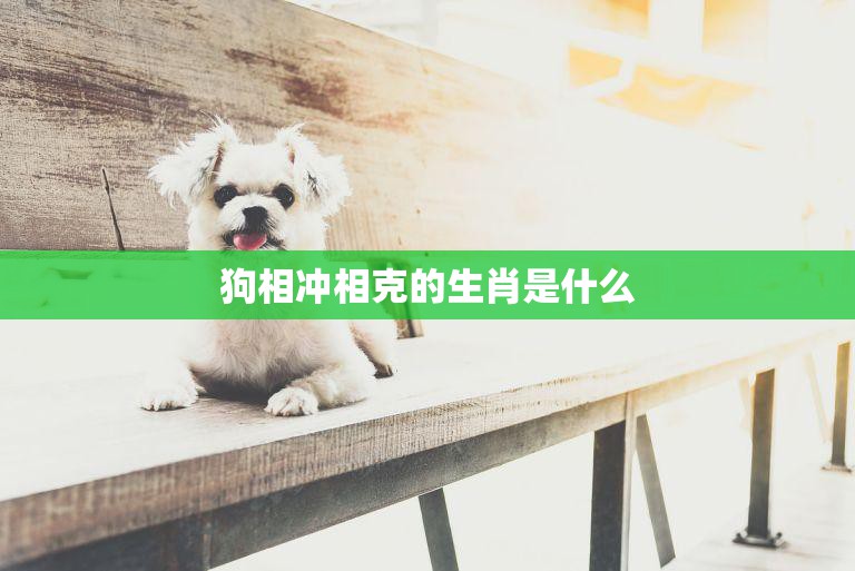 狗相冲相克的生肖是什么(揭秘十二生肖中的冲克关系)