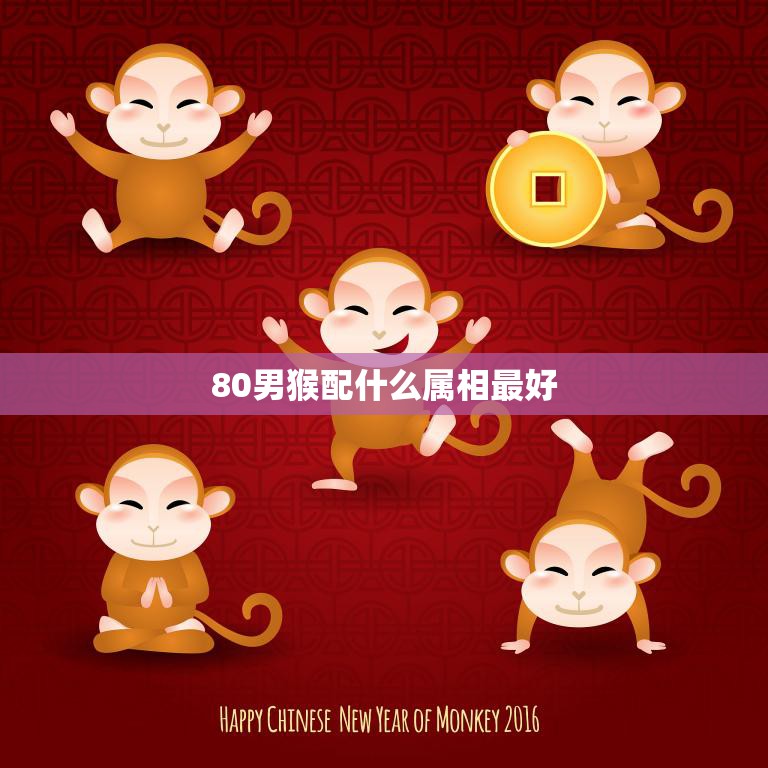 80男猴配什么属相最好(解析属相配对大揭秘)
