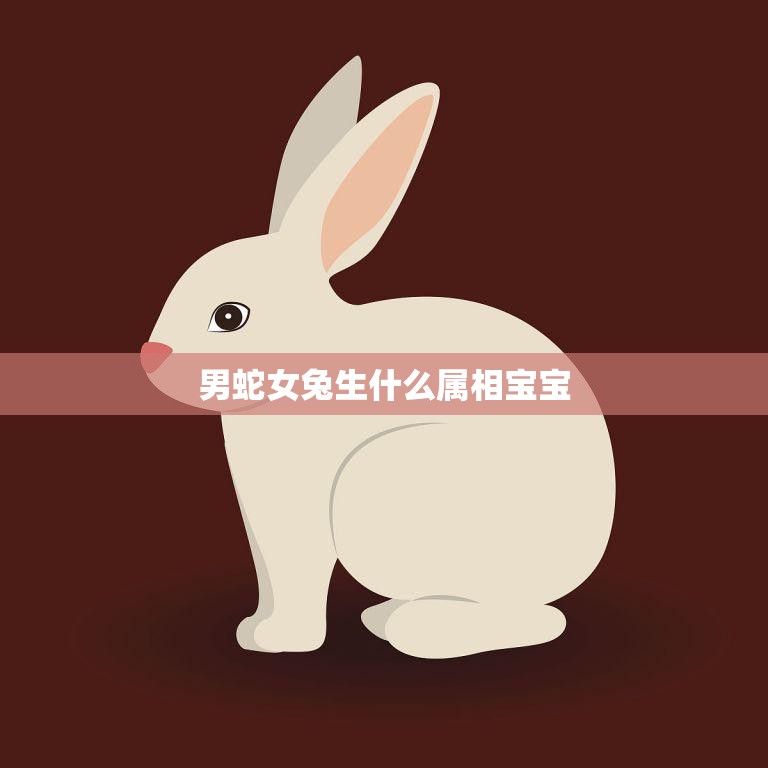 男蛇女兔生什么属相宝宝(生肖组合解析)