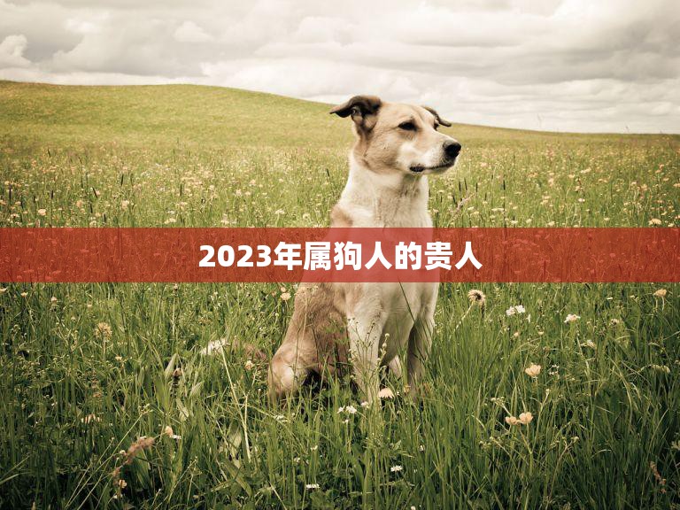 2023年属狗人的贵人(如何吸引幸运之星)
