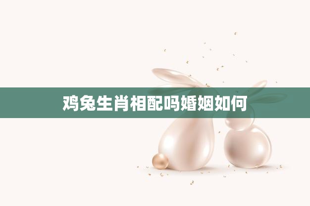 鸡兔生肖相配吗婚姻如何(解析婚姻前景如何)