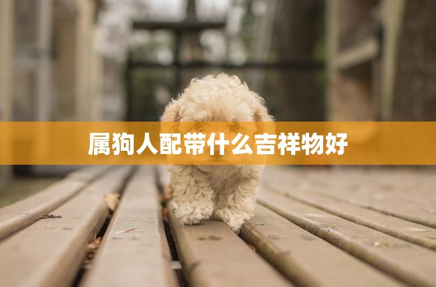 属狗人配带什么吉祥物好(选对吉祥物幸福指日可待)
