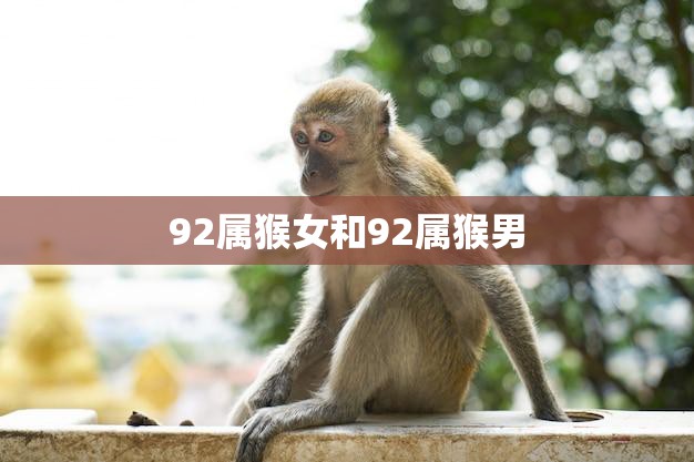 92属猴女和92属猴男(同属猴年命运相似)