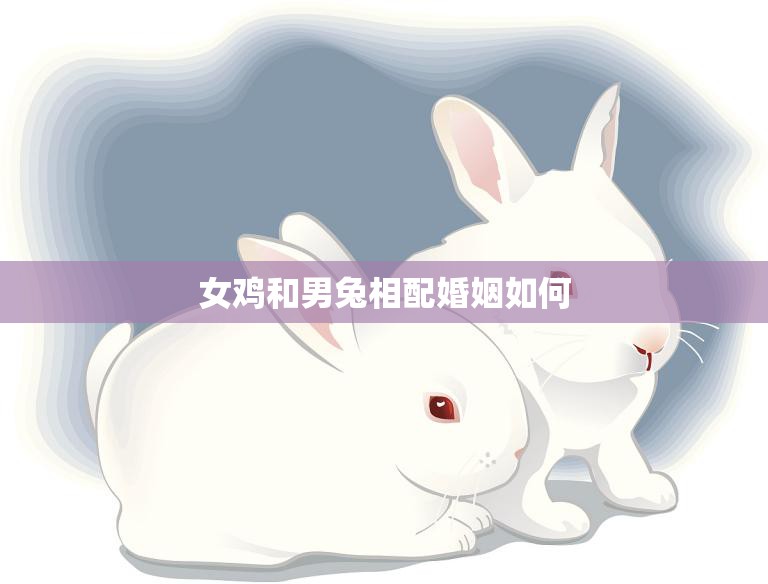 女鸡和男兔相配婚姻如何(幸福的秘诀)