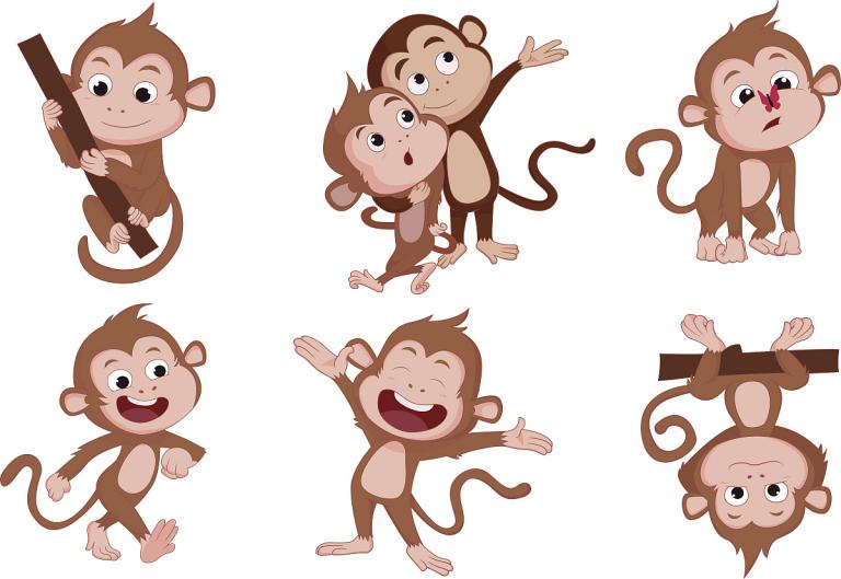 猴子婚姻跟什么生肖最配(探寻十二生肖中的最佳配偶)