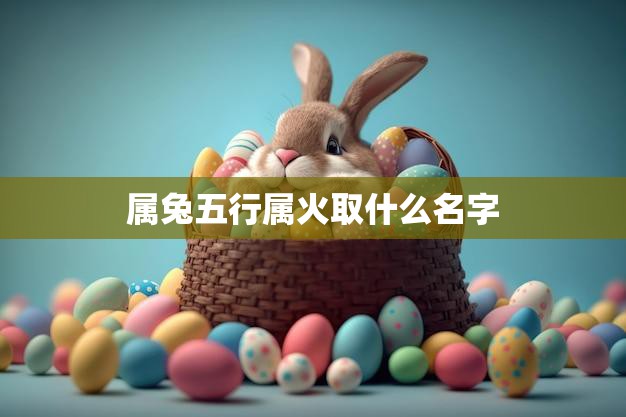 属兔五行属火取什么名字(如何选择适合的名字)