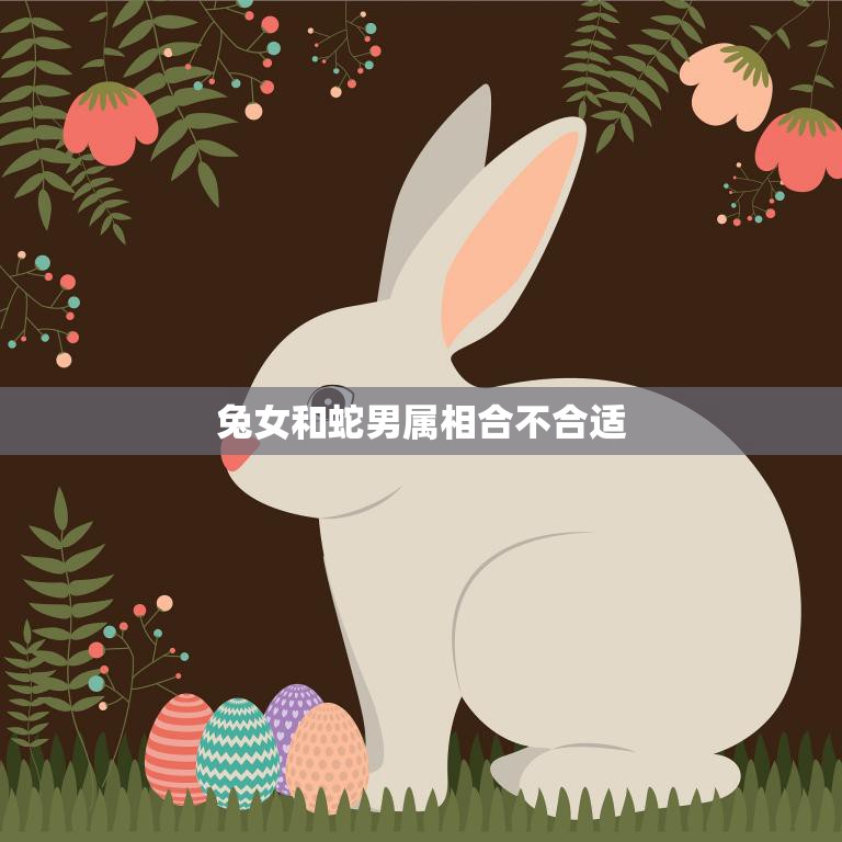 兔女和蛇男属相合不合适(如何看待)