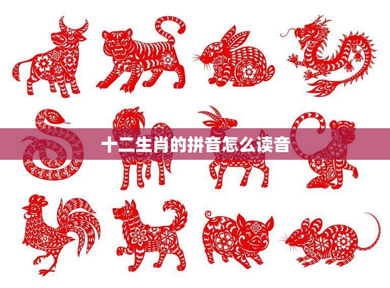 十二生肖的拼音怎么读音(如何正确念出十二生肖的名称)