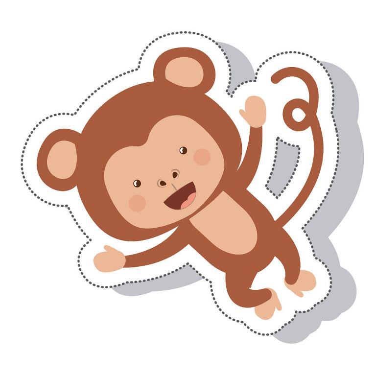 91年属猴男最佳婚配表(找到你的完美伴侣)