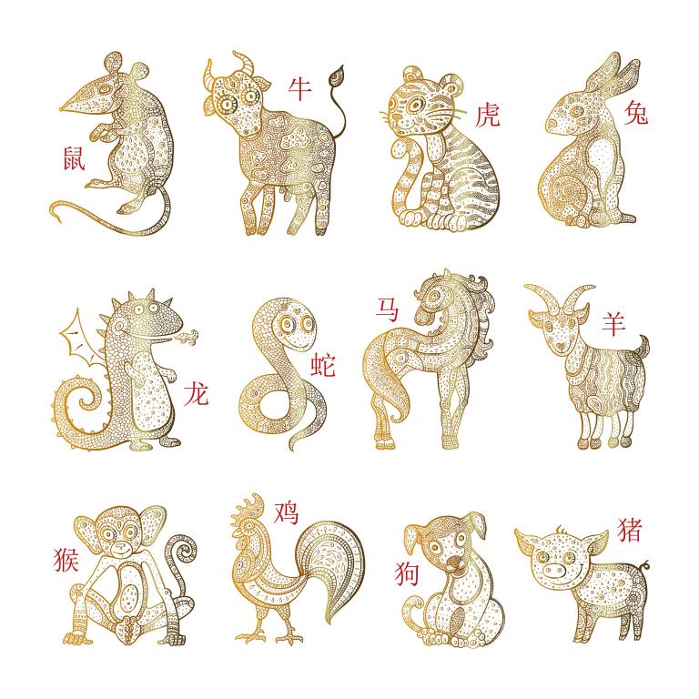 十二生肖拼音加汉字组词(玩转生肖学拼音)