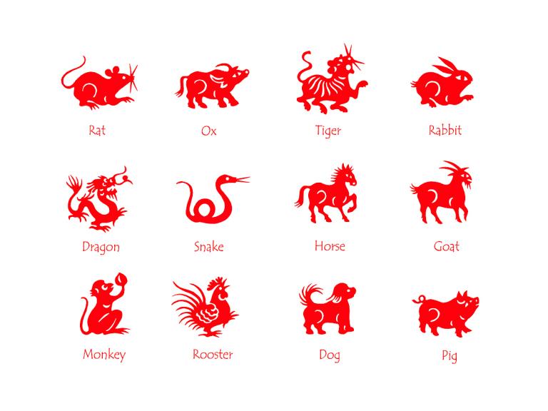 十二生肖拼音加汉字组词(玩转生肖学拼音)