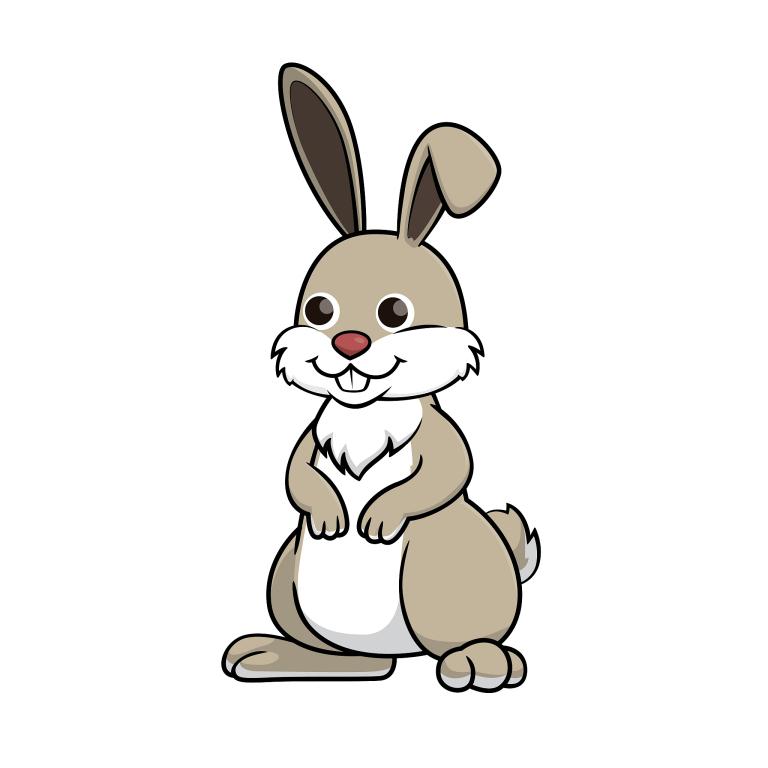 生肖兔女和蛇男合不合财(如何避免财务矛盾)