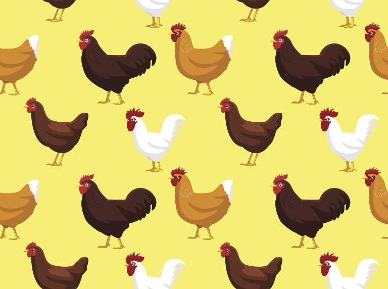 属相鸡与什么属相最相配(十二生肖配对大揭秘)