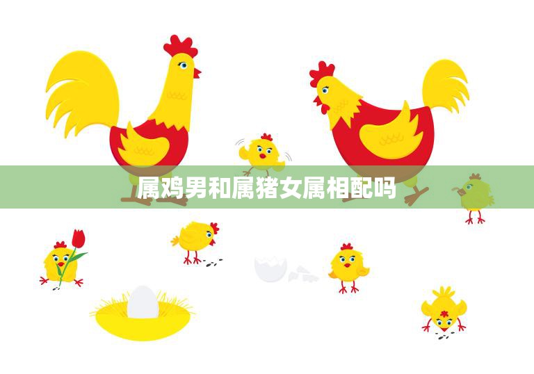 属鸡男和属猪女属相配吗(如何看待这种组合)