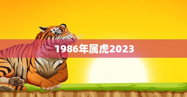 1986年属虎2023(虎年重逢命运如何)
