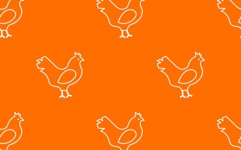 属鸡12月出生的人命运(如何预测)