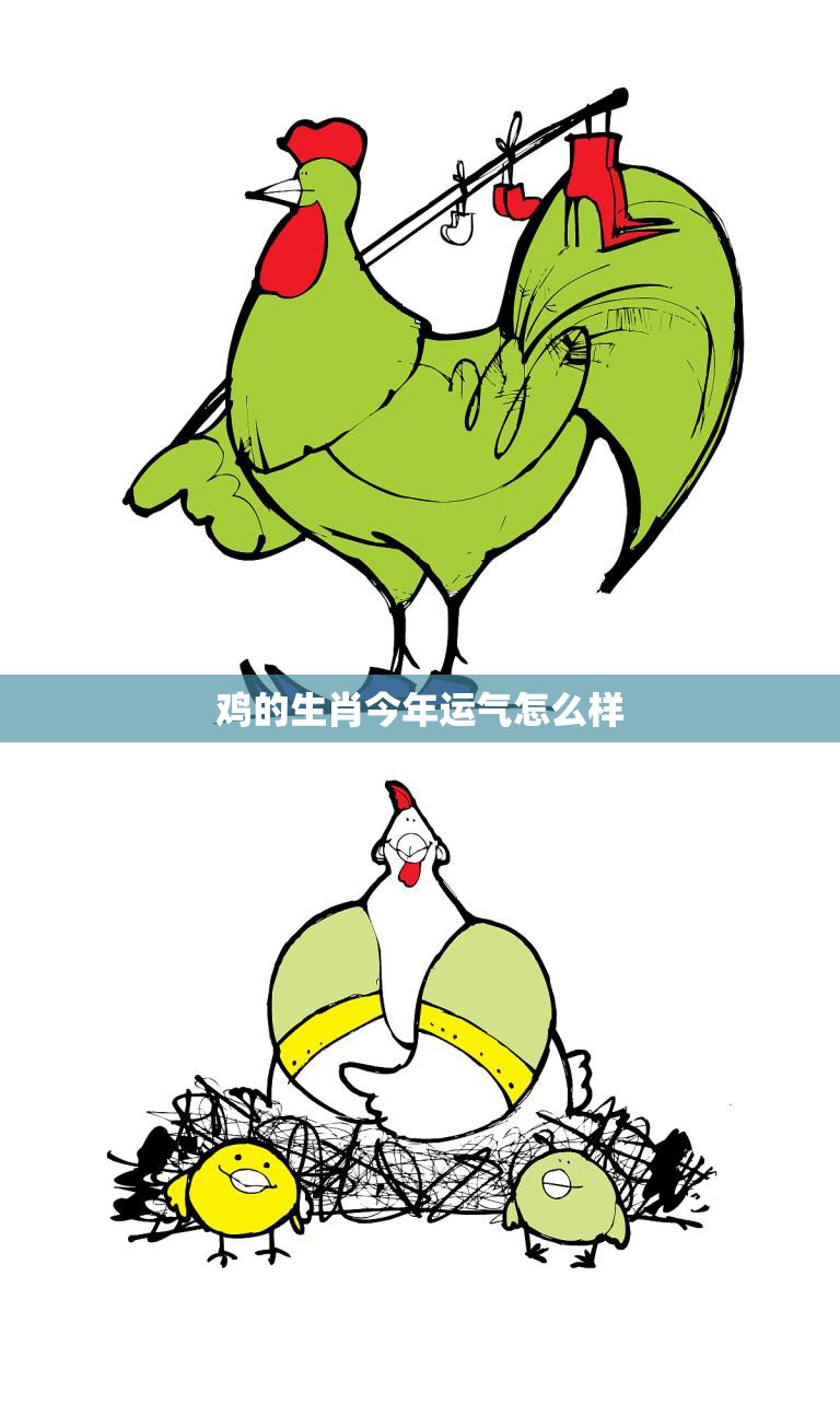 鸡的生肖今年运气怎么样(2023年运势大揭秘)