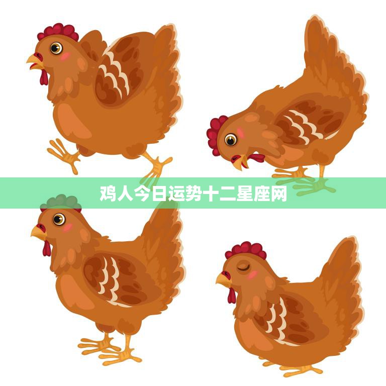 鸡人今日运势十二星座网(掌握今日运势开启幸福之门)