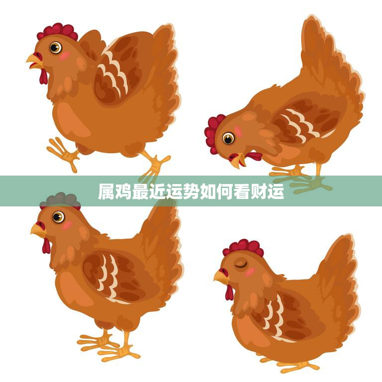 属鸡最近运势如何看财运(财运旺盛财源滚滚来)