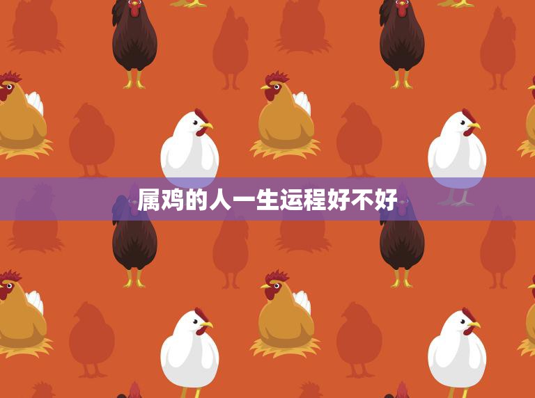 属鸡的人一生运程好不好(解析命运多舛还是飞黄腾达)